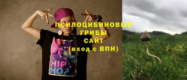 МДПВ Семёнов