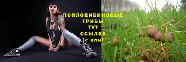 МДПВ Семёнов