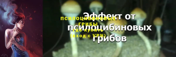 МДПВ Семёнов