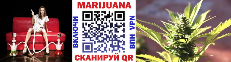 купить закладку Судак Каннабис семена